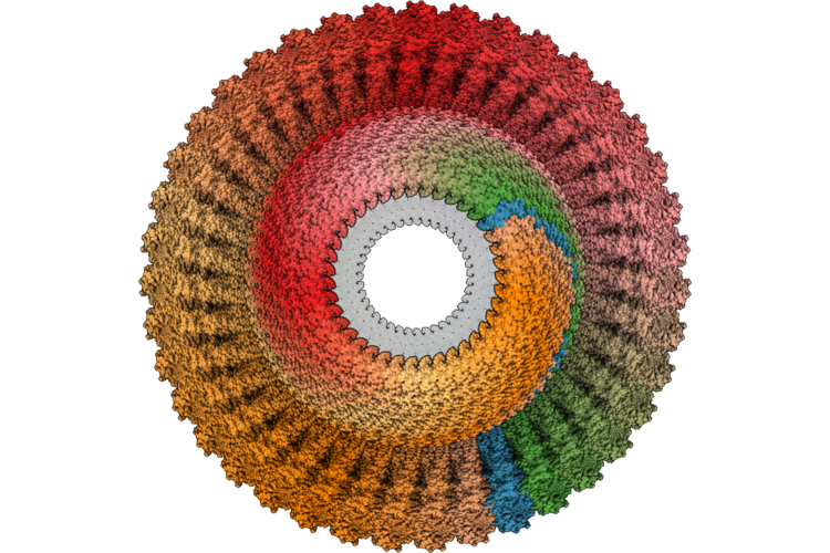 11EQ image