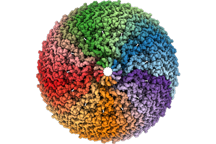 11FH image