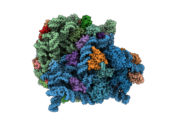 11FV image