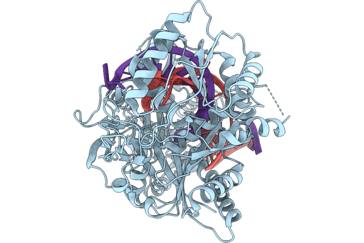 11GI image