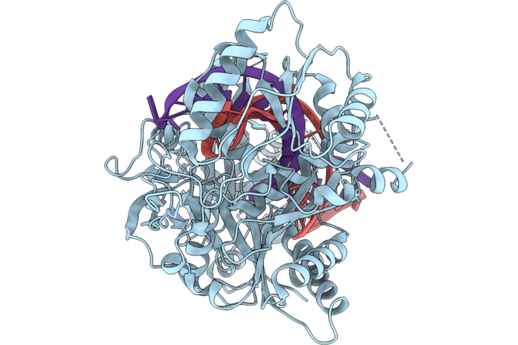 11GJ image