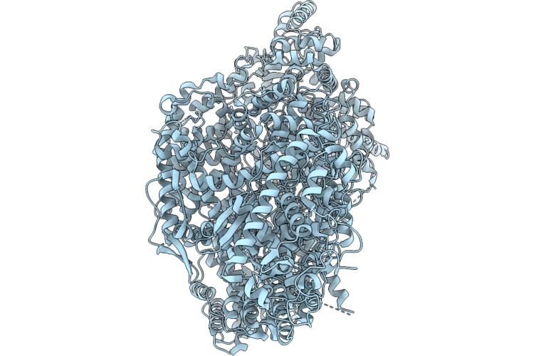 11GP image