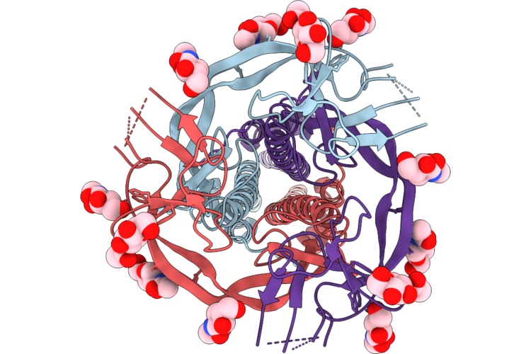 11HL image