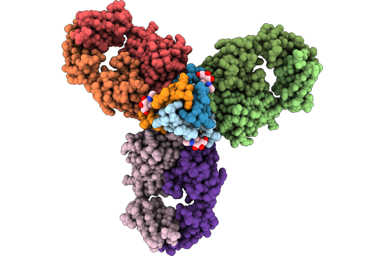 11HW image