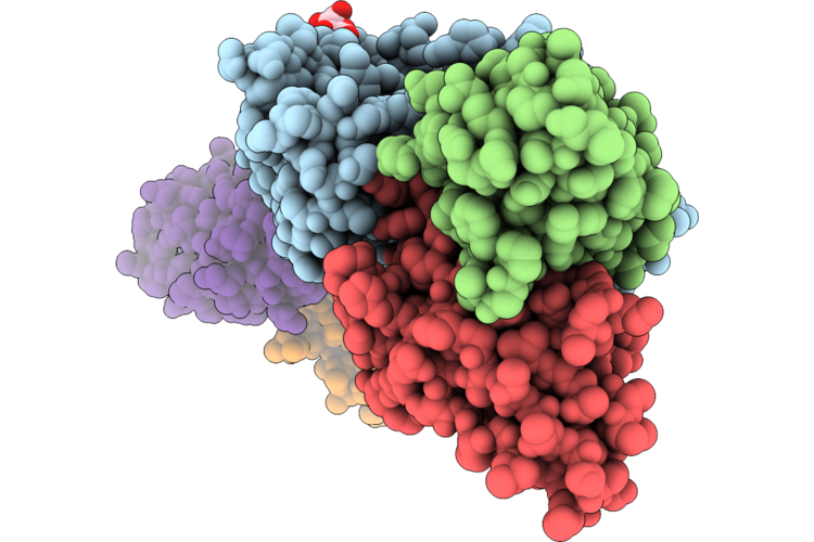 11LS image
