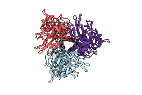 11MS image
