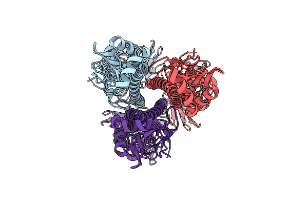 11MX image