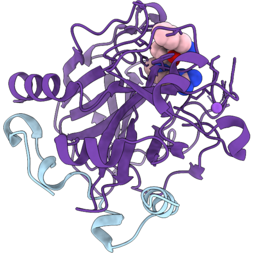 11RJ image