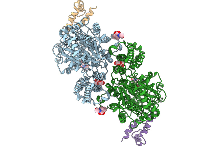 11RN image