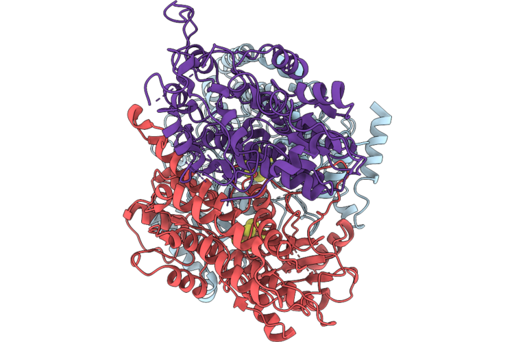 11SX image