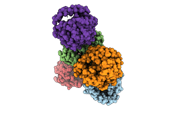 11TS image