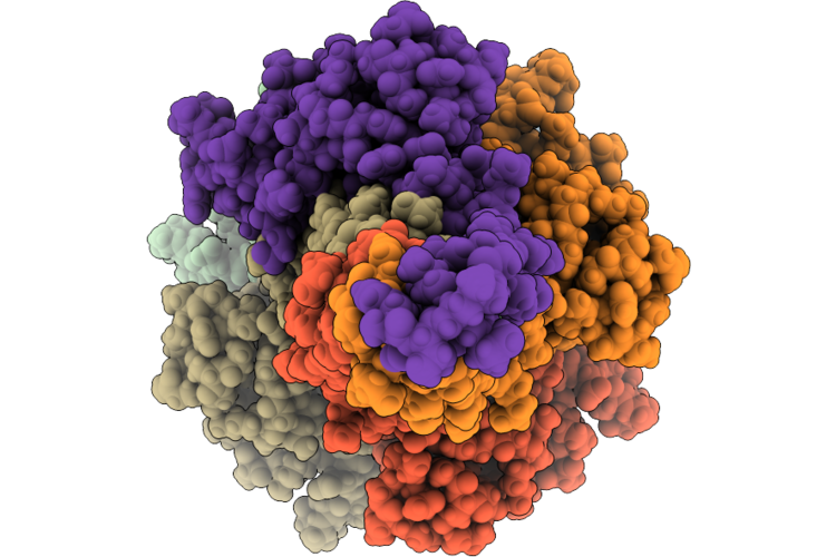 11XB image