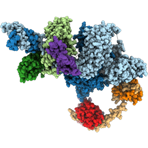 11XU image