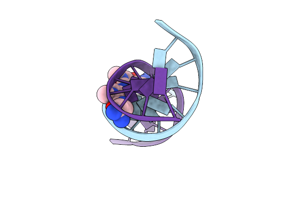 121D image