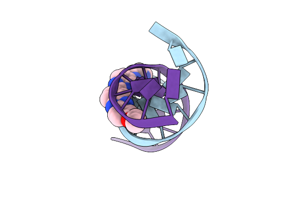 129D image