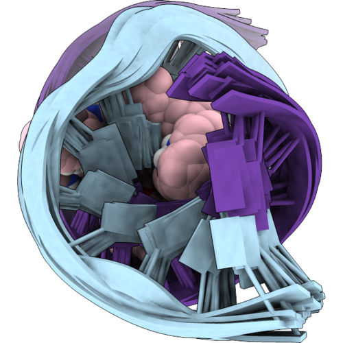 12AE image
