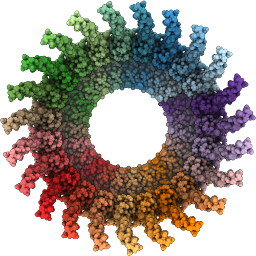 12DS image