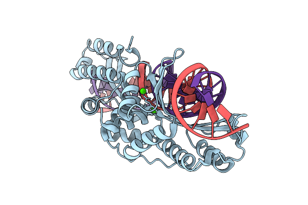 12FK image