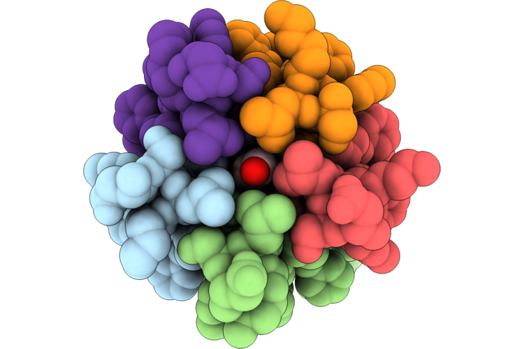 12JS image