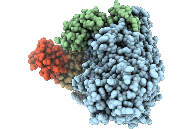 12SN image