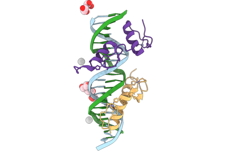 12UQ image