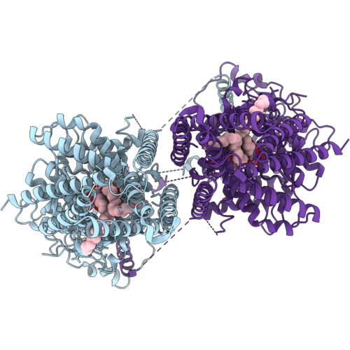 12XH image
