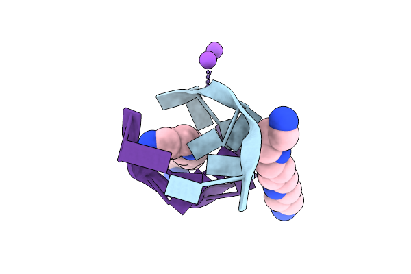 131D image