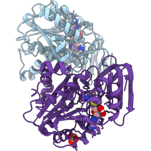 13FV image