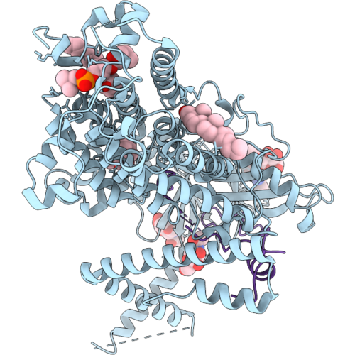 13IB image