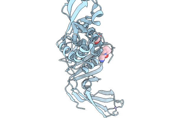 13MS image