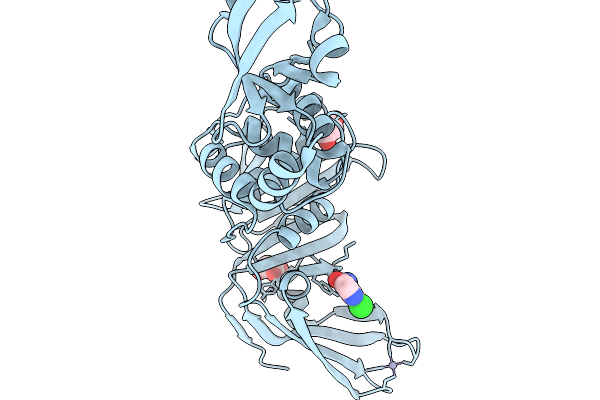 13MT image