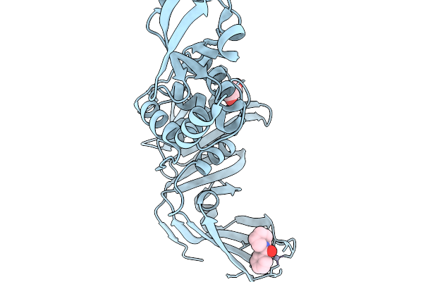13NE image