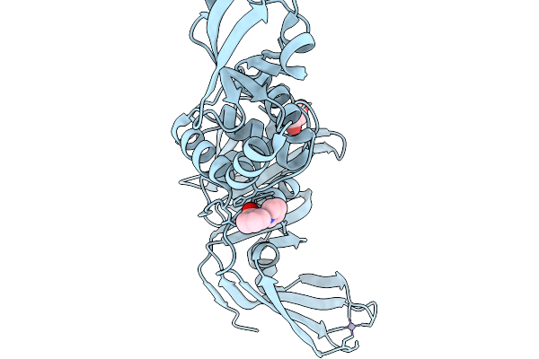 13NG image