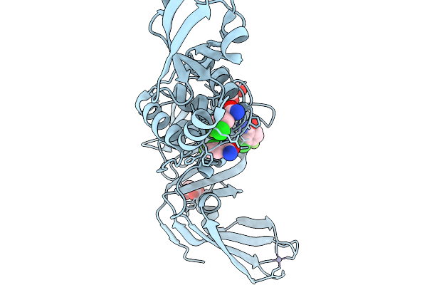 13OD image
