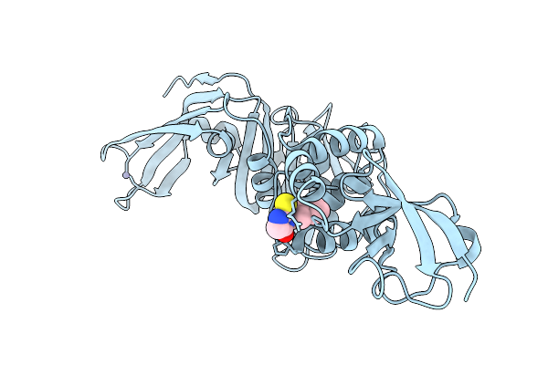 13OX image