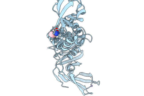 13PB image