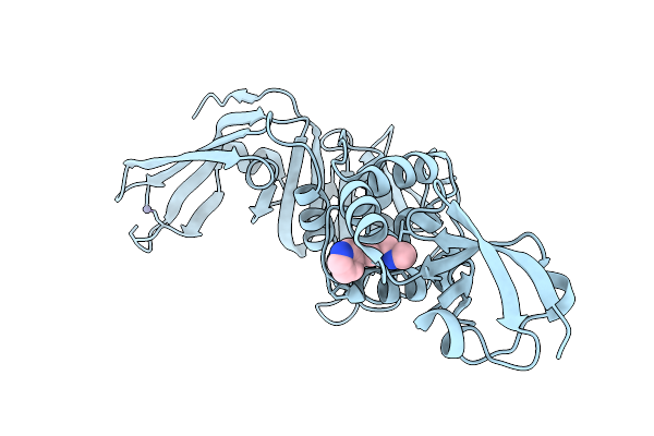 13PP image