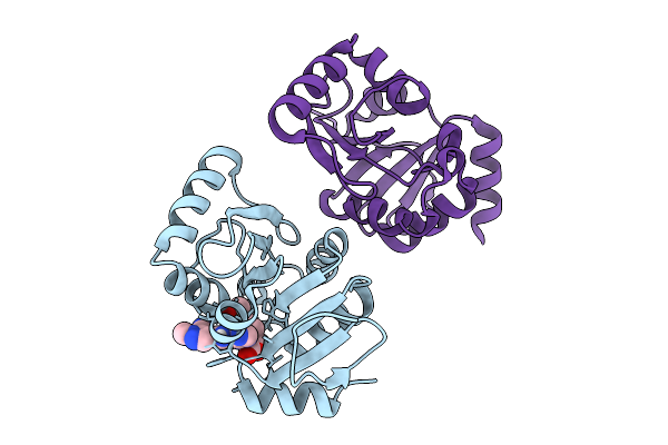 13RX image