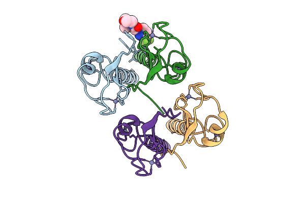 13SP image