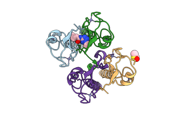 13SS image