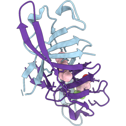 13UJ image