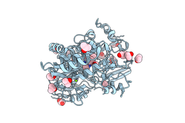 13XS image