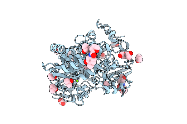 13XV image