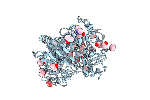 13ZB image