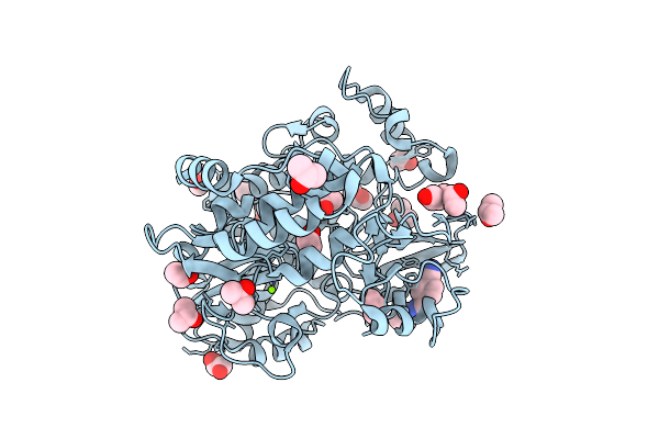 13ZQ image