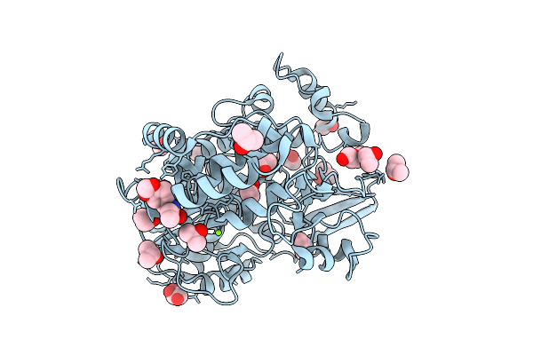 13ZR image