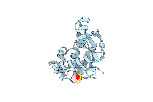 140L image