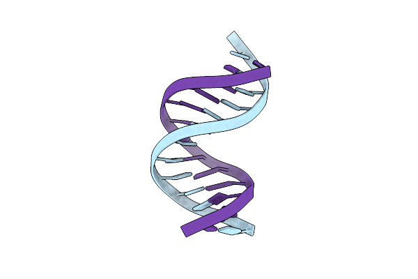 142D image