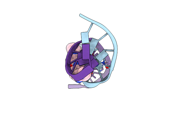 144D image