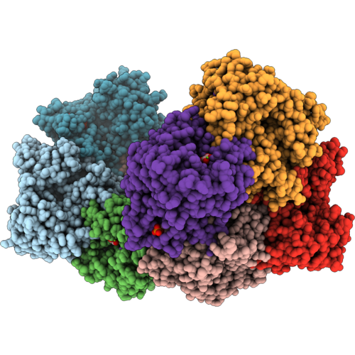 14CS image